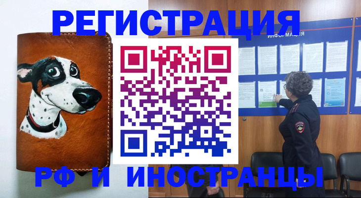 временная регистрация законно в Бакале